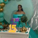 Meus 15 anos