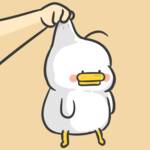 Profile picture of sean zhang